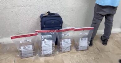 DNCD intercepta en Punta Cana a canadiense con 14 paquetes de presunta cocaína